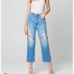 BlankNYC Baxter Ribcage Straight Leg Distressed Jeans 25